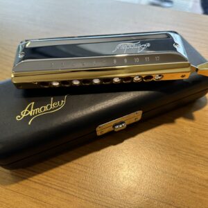 【二手品】Hohner Amadeus 阿瑪迪斯 12孔頂級半音階